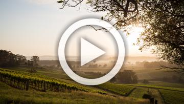 2019 Kia Picanto GT-Line Auto MY19